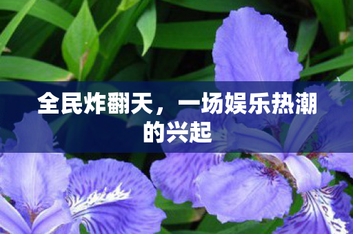 一场娱乐热潮的兴起图片