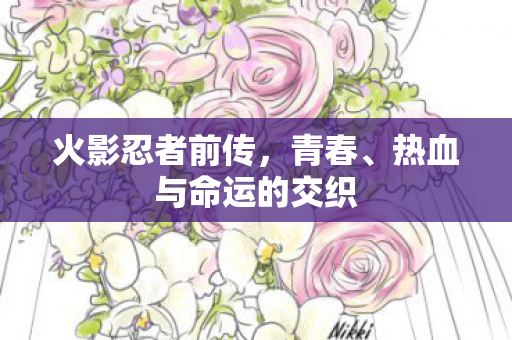 热血与命运的交织图片