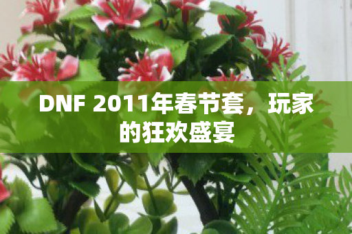 DNF 2011年春节套图片