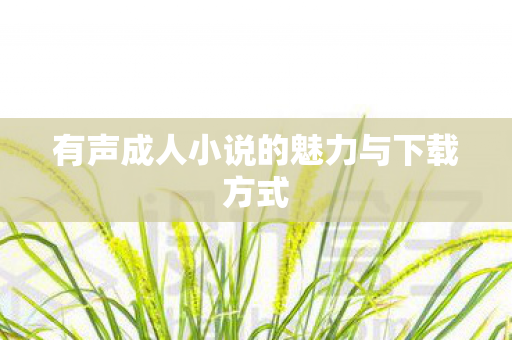 有声成人小说的魅力与下载方式图片