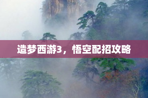 悟空配招攻略图片