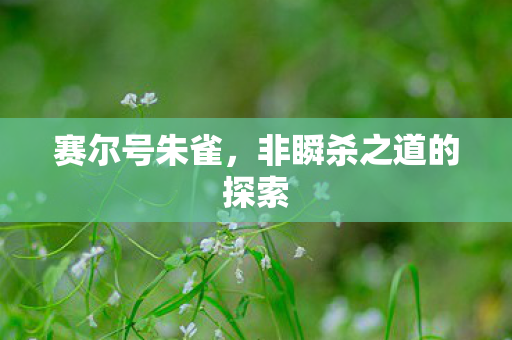 非瞬杀之道的探索图片
