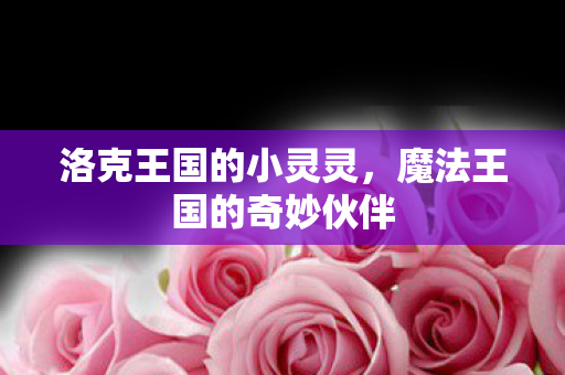 魔法王国的奇妙伙伴图片