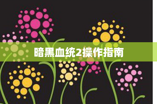 暗黑血统2操作指南图片