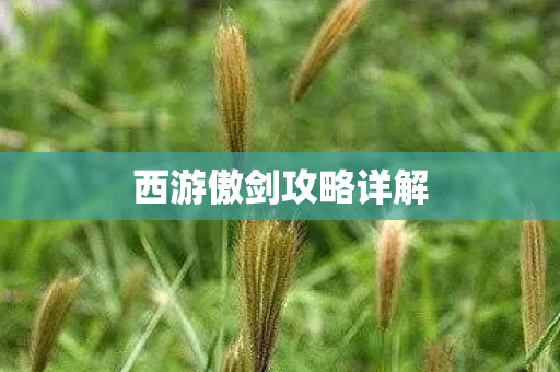 西游傲剑攻略详解图片