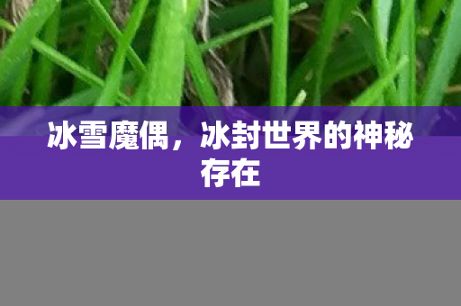 冰封世界的神秘存在图片