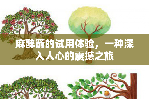 一种深入人心的震撼之旅图片