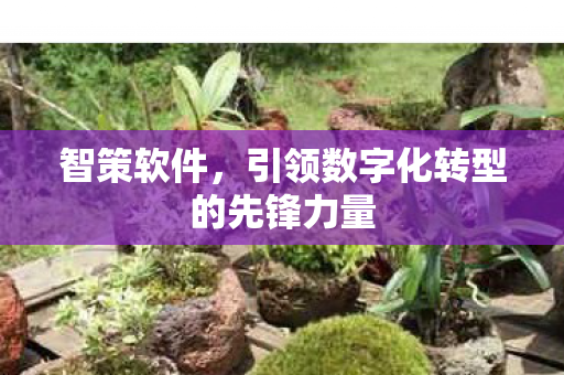 引领数字化转型的先锋力量图片