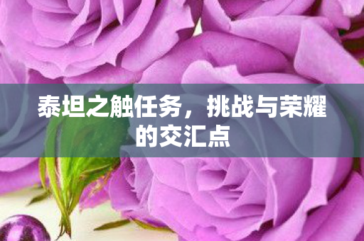挑战与荣耀的交汇点图片