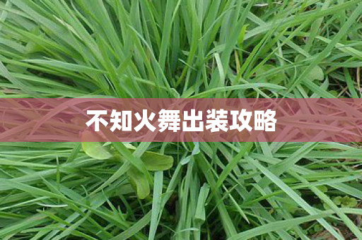 不知火舞出装攻略图片