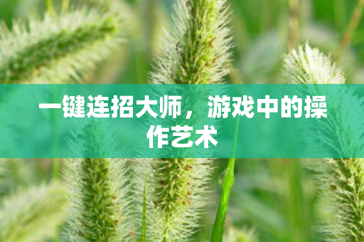 游戏中的操作艺术图片