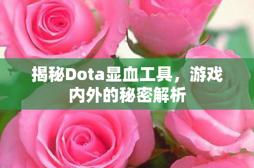 揭秘Dota显血工具图片