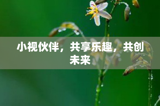 小视伙伴图片