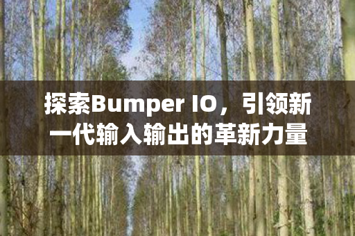 引领新一代输入输出的革新力量图片