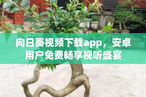 安卓用户免费畅享视听盛宴图片