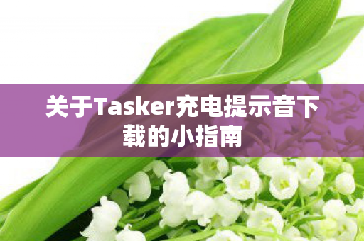 关于Tasker充电提示音下载的小指南图片