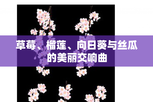 向日葵与丝瓜的美丽交响曲图片