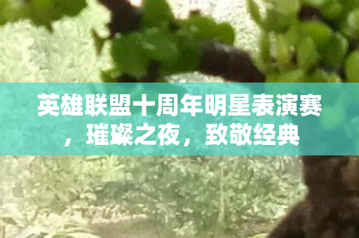 英雄联盟十周年明星表演赛图片