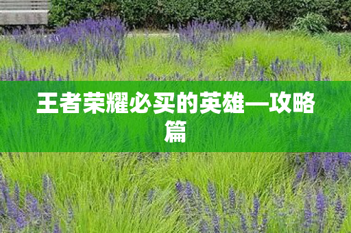 王者荣耀必买的英雄图片