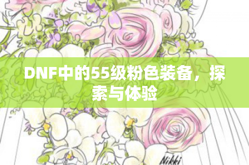 DNF中的55级粉色装备图片