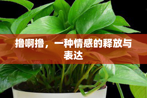 一种情感的释放与表达图片