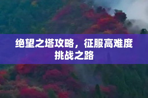 征服高难度挑战之路图片