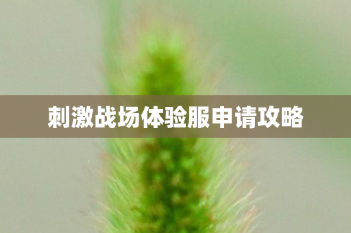 刺激战场体验服申请攻略图片