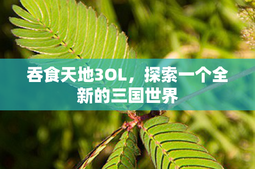 探索一个全新的三国世界图片