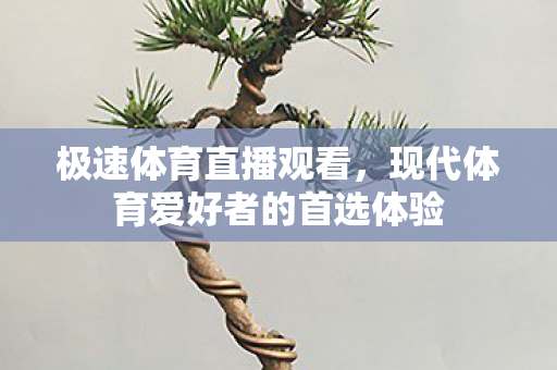 现代体育爱好者的首选体验图片