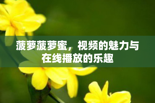 视频的魅力与在线播放的乐趣图片