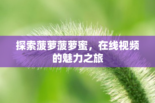 在线视频的魅力之旅图片