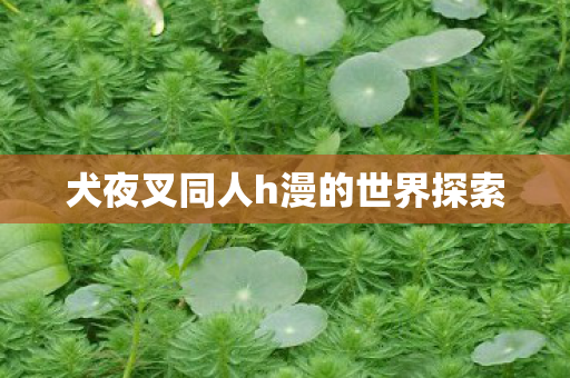 犬夜叉同人h漫的世界探索图片