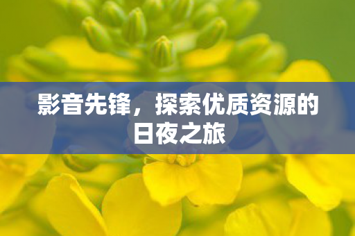 探索优质资源的日夜之旅图片