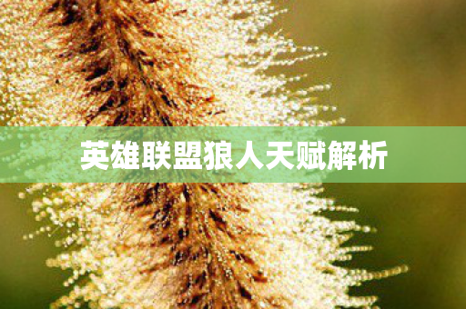 英雄联盟狼人天赋解析图片