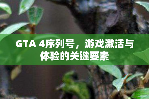 游戏激活与体验的关键要素图片
