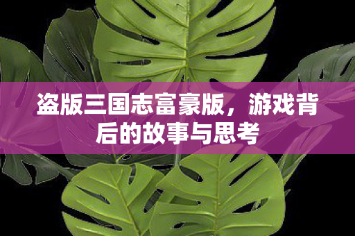 游戏背后的故事与思考图片