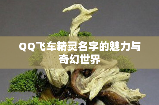 QQ飞车精灵名字的魅力与奇幻世界图片