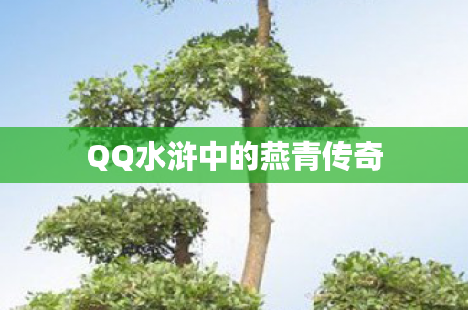 QQ水浒中的燕青传奇图片