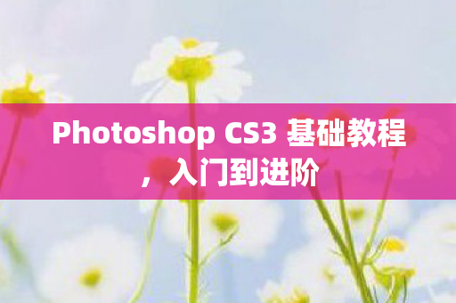 Photoshop CS3 基础教程图片