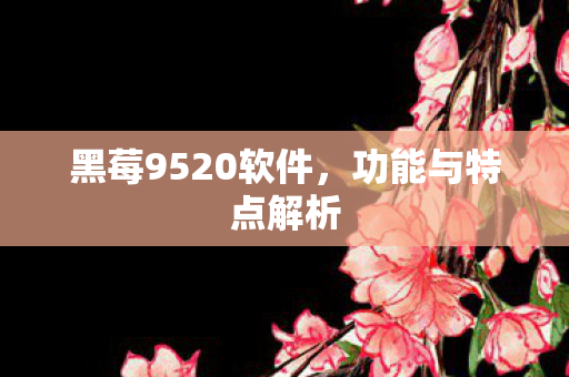 黑莓9520软件图片