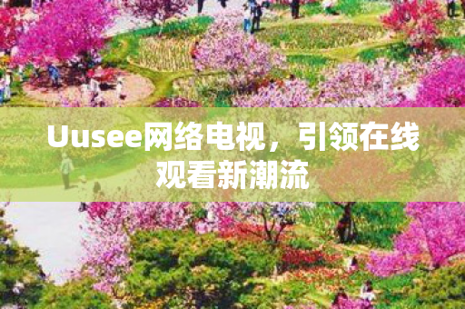 Uusee网络电视图片