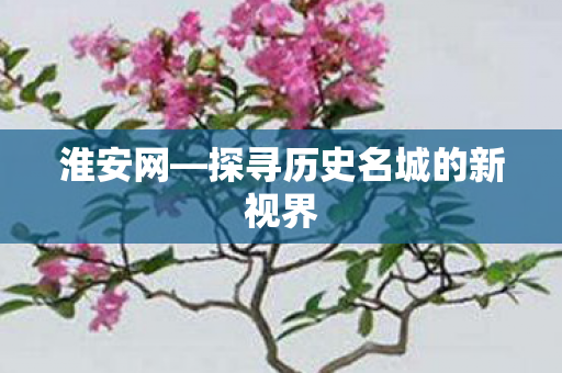 探寻历史名城的新视界图片