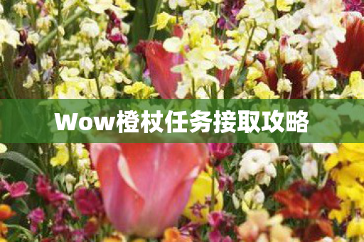 Wow橙杖任务接取攻略图片