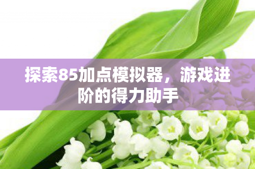 探索85加点模拟器图片