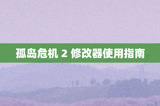 孤岛危机 2 修改器使用指南图片