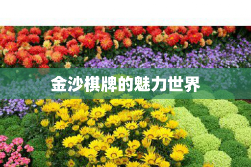 金沙棋牌的魅力世界图片
