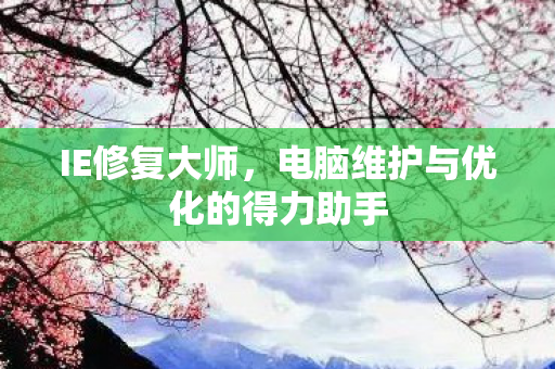 电脑维护与优化的得力助手图片