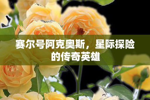 星际探险的传奇英雄图片