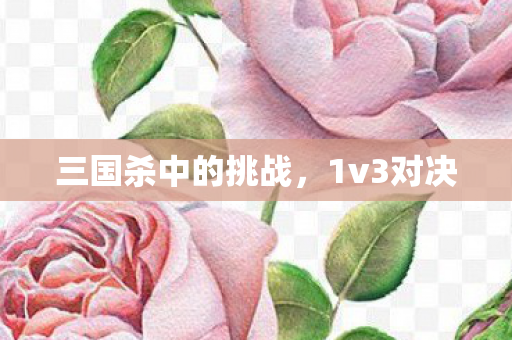 三国杀中的挑战图片