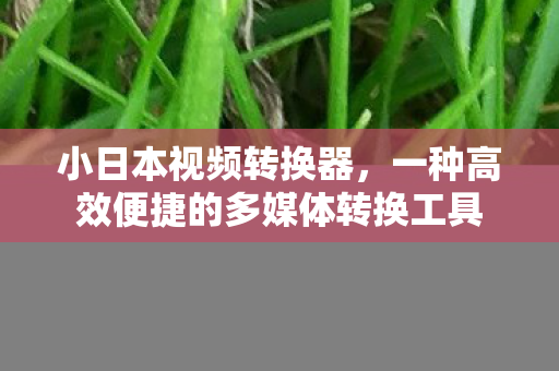一种高效便捷的多媒体转换工具图片